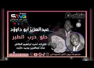 عبدالعزيز محمد ابو داوود حلو درب الطير