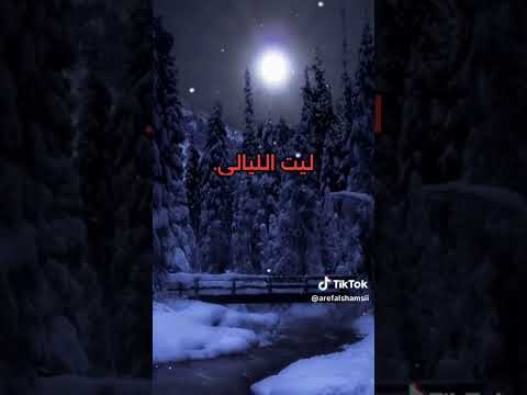 صوت المطر صلاح الزدجالي TikTok Arefalshamsii اكسبلور Explore تيك توك Tiktok تصميمي صوت المطر صلاح الزدجالي TikTok Arefalshamsii اكسبلور Explore تيك توك Tiktok تصميمي
