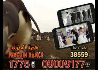  إعلان نغمات ة البطريق Penguin Dance