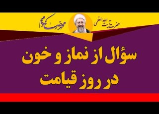 سؤال از نماز و خون در قیامت آیت الله محمدرضا نکونام