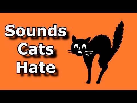 SOUNDS CATS HATE Sound To Scare Cats And Dogs Ultrasonic Alarm To Scare Off Animals