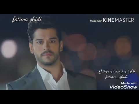 سيف عامر تخيل شجرة بيها اوراق