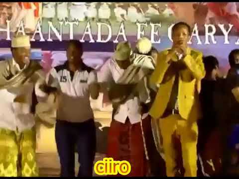 Dhaanto Nuur Carale Doollo