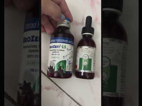 Chapang Opnat Neihoa Dinga Kospar M And Brozeet LS