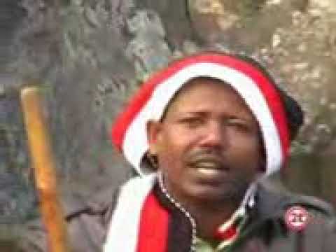 Geerarsa Durii DARAJJEE SHUUMAA Sirba Durii Afaan Oromoo