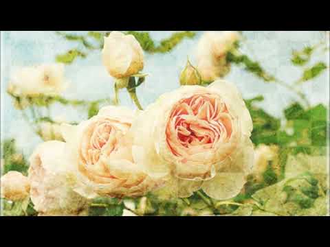 تلاوه وقال الشيطان لما قضي الامر بصوت ياسر الدوسري