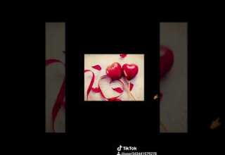 انا بحبك اكتر شوقي في قلبي بيكبر