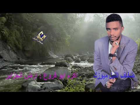 اكرم ابو فروع ارض الجزاير