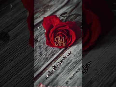 كم أبرأت وصبا باللمس راحته سلمان المل ا Salmansound