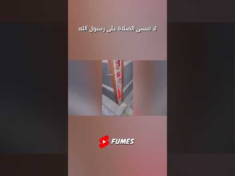 جلط القطط مضحك اكسبلور قطط فديوهات مضحكه Automobile Bloodstrike Funny