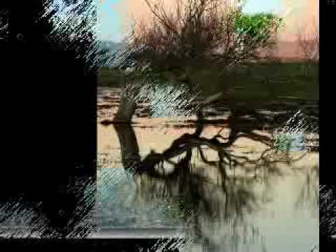 سبحان الله جاسم هجرس