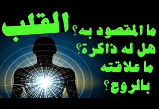 ما المقصود بالقلب هل له ذاكرة ما العلاقة بين القلب والعقل النفس والروح