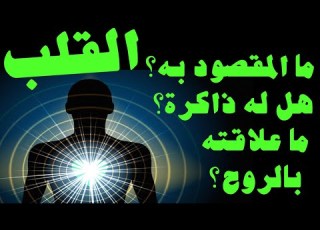  ما المقصود بالقلب هل له ذاكرة ما العلاقة بين القلب والعقل النفس والروح