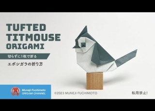 折り紙 エボシガラ Tufted Titmouse Origami の折り方