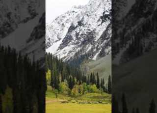 Da Marg Pashto Naat Tarana دا مرګ پښتو نعت ترانه