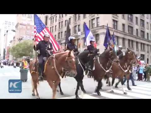 2015 NYC Veterans Day Parade