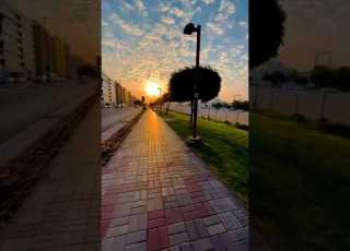  أيهاب القواسمي قلبي بي بطق طق
