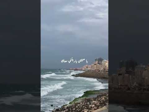 عامر م نيب جيت علي بالي كده من كام يوم قولت اما اسأل فينك