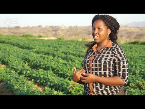 Msichana Mjasiriamali Tanzania Kupitia Kilimo