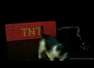  TNT GOES BOOM