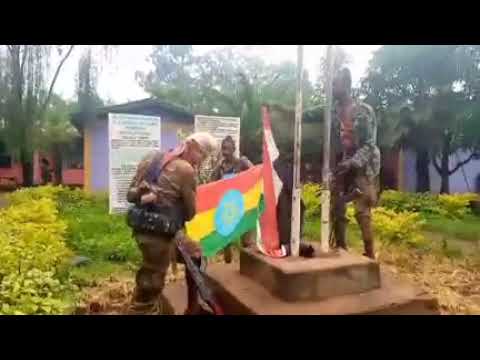 WBO N Godina Iluu Abbaa Booraa Aanaa Dhaaphoo To Annoo Isaa Jala Galche Fulbaana 9 2022