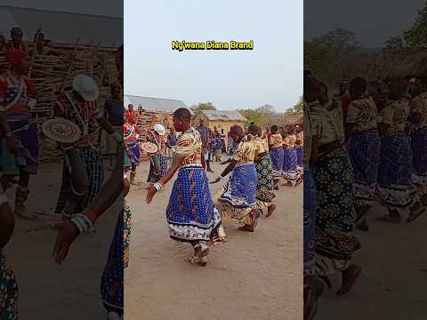 WASUKUMA KWENYE UBORA WETU Dance Comment Wedding Like Africa Dancer Share Music Subscribe