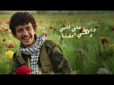 فقدت أقرباء وأخوان أبو مجلي جديد 2026 Abu Majli