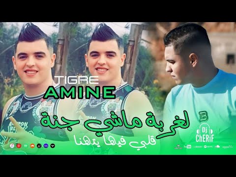 Amine Tigre Jdid 2024 لغربة ماشي جنة