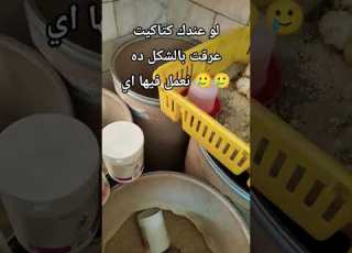 الكتاكيت عرقت مني افضل طريقه للتعامل مع الكتاكيت العرقانة سفير الدواجن