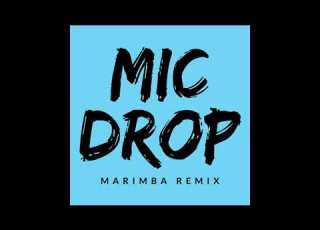  Mic Drop Ringtone BTS IPhone Marimba Remix