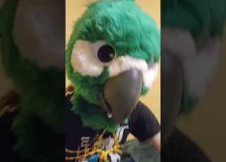 Gussied Up Fursuit Furry Furries Cosplay Fursuiter