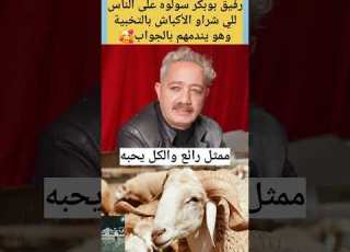 سولوه على الناس للي شراو الأكباش بالتخبية وهو يندمهم بالجواب سعد لمجرد رفيق بوبكر ترند