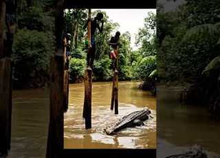  African Fulani Men Using Long Stick To Cross A River Full Of Crocodiles Usa India Ai Aishorts