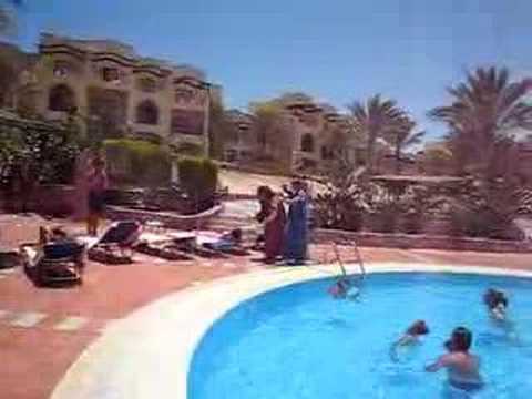 Cammello Arrapato Danilo E Paolo Parte Seconda