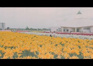  坂井市ゆりの里公園CM 2018年7月15日
