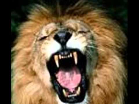 ضحكة اخر مسخرة Zahra Omar Alsaidiewmv ضحكة اخر مسخرة Zahra Omar Alsaidiewmv