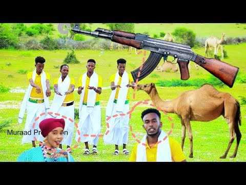 DHAANTO CUSUB DHIBIC ROOB BASHIIR BILE GOBAAD GEENYO NEW VIDEO DHAANTO KOOXDA BANAADIR BAND