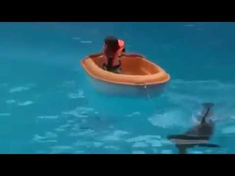 أجمل ما رأت عيني 2016