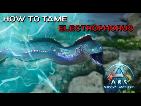 ARK Survival Ascended How To Tame ELECTROPHORUS