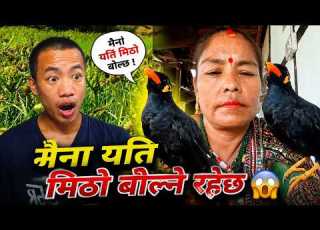 जङ गलम बस न स ग म न हर पन बच च म च ह घरम ल य एर प ल सक पछ यत म ठ ब ल न ह द