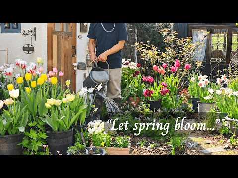 الحياة ببطء الريف دع الربيع يزهر موسيقى قائمة تشغيل للاسترخاء وتخفيف التوتر