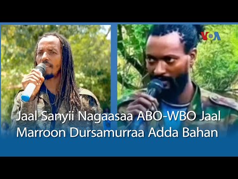 Jaal Sanyii Nagaasaa ABO WBO Jaal Marroon Dursamurraa Adda Bahuu Isaanii Beeksisan VOA Afaan Oromoo