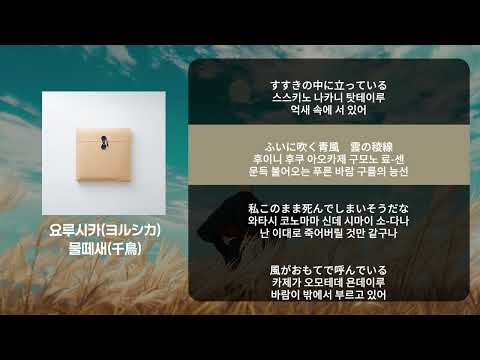 용 데이루 요루시카 ヨルシカ 물떼새 千鳥 가사 해석 발음