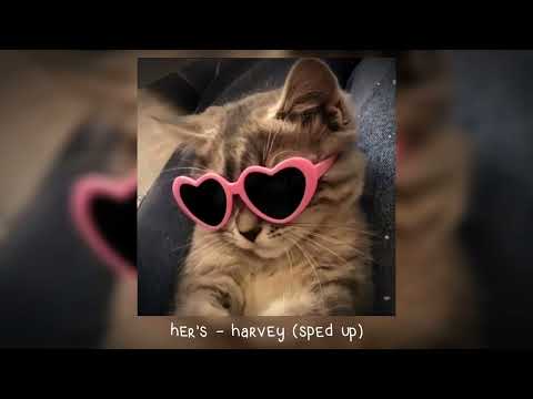 Her S Harvey 𝒔𝒑𝒆𝒅 𝒖𝒑