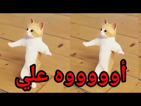 اغنية باسم علي الزين سطلانة السعودية الامارات تركيا العراق قطر مسقط البحرين الجزائر دبي الرياض