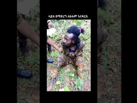 እየተያዙ ነው Fano Amhara ፋኖ አማራ ፋኖ Gonder Fano Gojam Fano Wolo Fano Bahrdar Fano