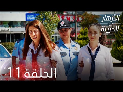 الأزهار الحزينة الحلقة 11 كاملة Kırgın Çiçekler