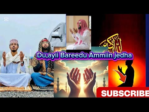 Du Aayyii Bareedu Ammiin Jedha Namni Du Ayii Jalaatan Sher Godha Nama Jalaatuf