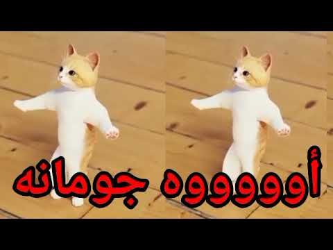 اغنية باسم جومانه جمانه عيد ميلاد جمانة اول تعليق السعودية الكويت العراق تركيا قطر الجزائر جده دبي