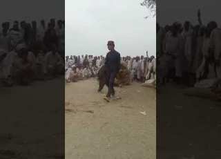 Uth Paniyale Da Wazan 13 Borian By Dildah Khan Dhakkisursanjog Camelweightlifting Uth Imrankhan